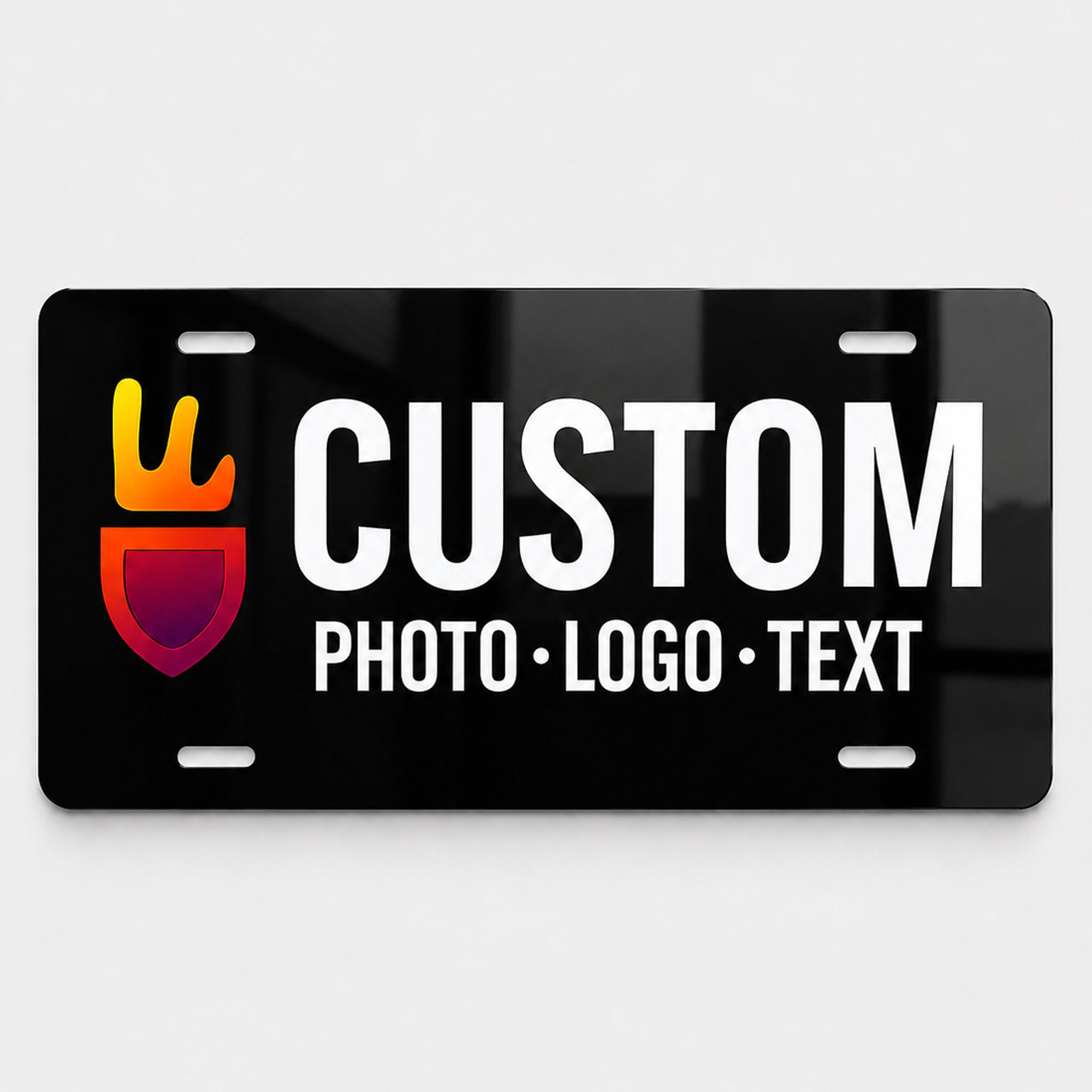 Custom License Plate (6x12)