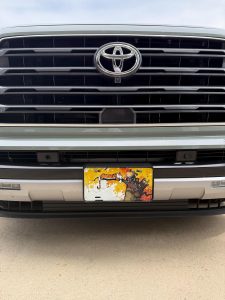 Customer photo